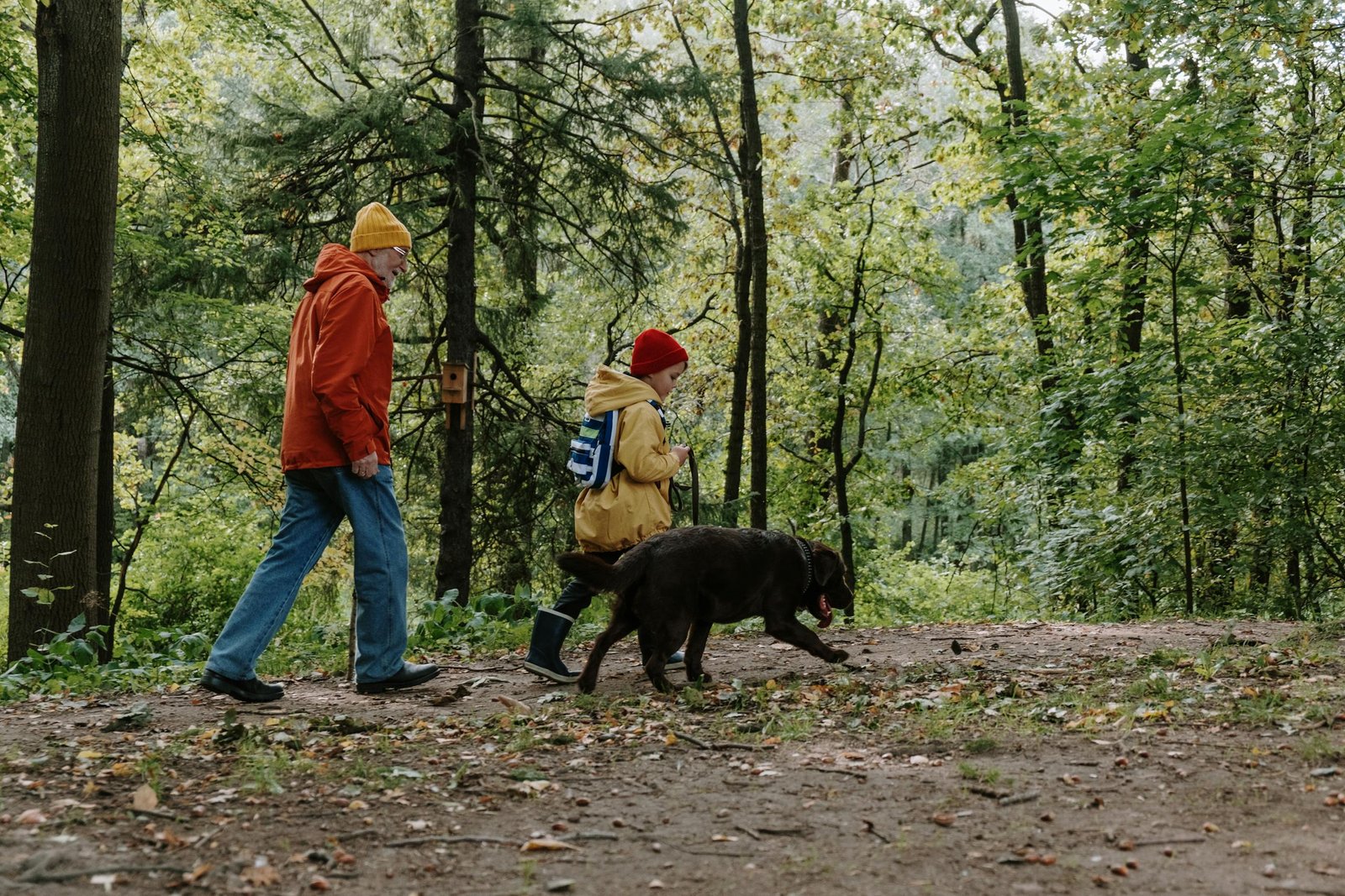 Older man and young boy hiking with dog in a forest on a cool day.
