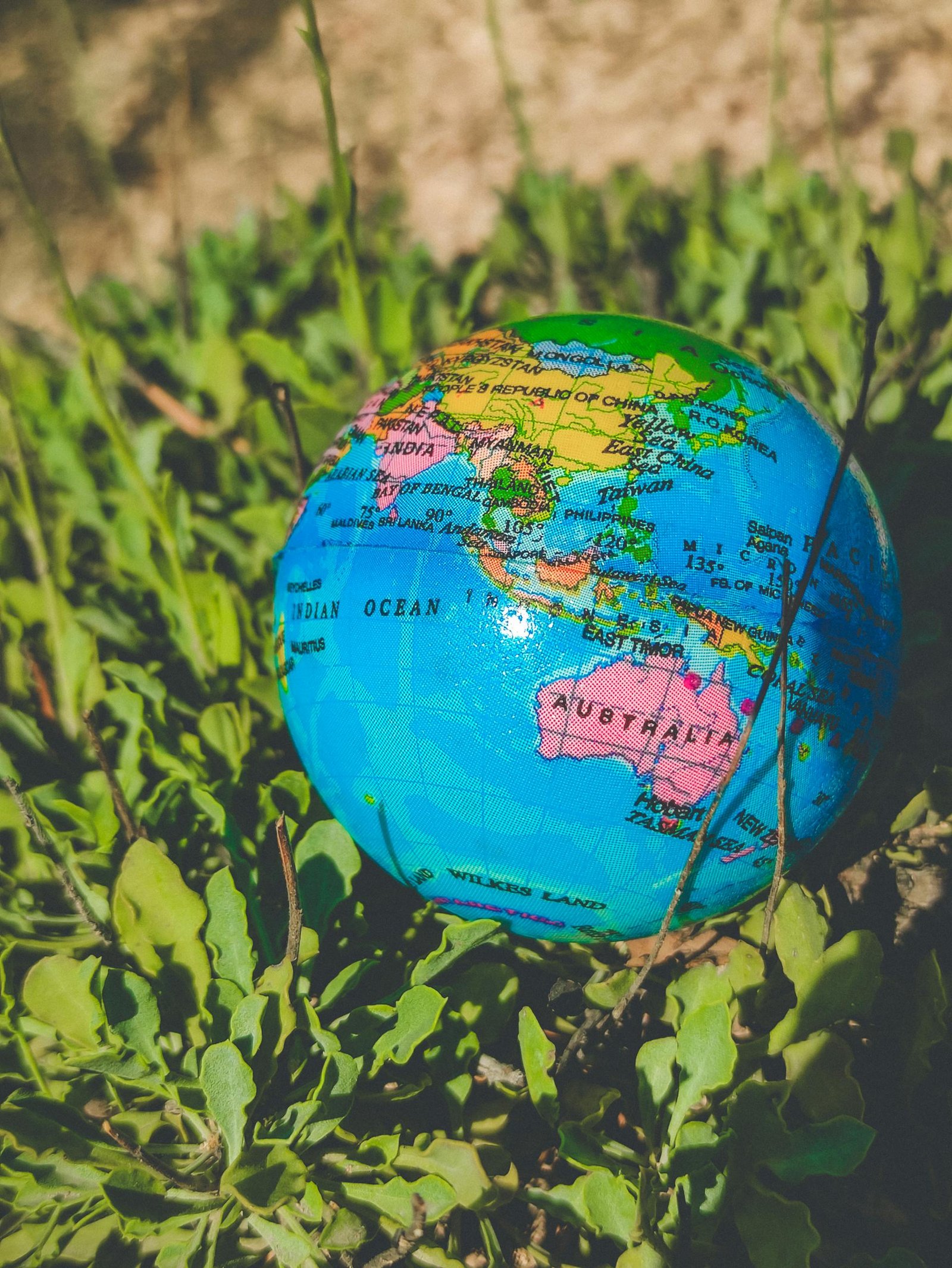 A vibrant globe featuring Australia sits on lush green grass under sunlight.